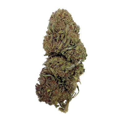 Jack Herer | 20% THCX 2.0